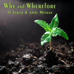 Cover image of the album Why and Wherefore (single) by Al Jewer and Andy Mitran