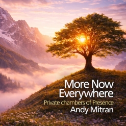 Cover image of the album More Now Everywhere by Andy Mitran
