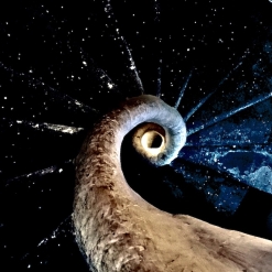 Cover image of the album Music for Ketamine by David Franklin