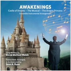 Cover image of the album Awakenings Ensemble Instrumental Arrangement (single) by David Michael Walsh