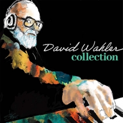 Cover image of the album Collection by David Wahler