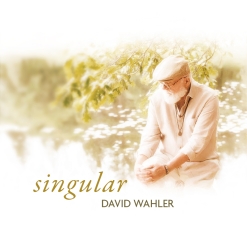 Cover image of the album Singular by David Wahler