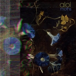Cover image of the album Moths by Giovanni Aloi and Blue Spiral Records