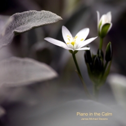 Cover image of the album Piano in the Calm by James Michael Stevens