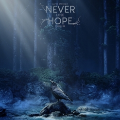 Cover image of the album Never Lose Hope (Reimagined) single by Matias Baconsky