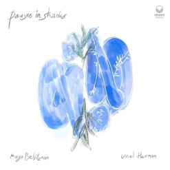 Cover image of the album Pauses in Shades by Maya Belsitzman and Uriel Herman