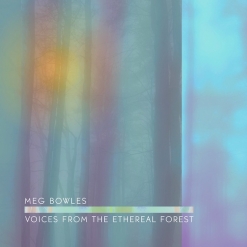 Cover image of the album Voices From the Ethereal Forest by Meg Bowles