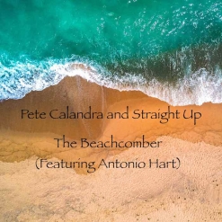 Cover image of the album The Beachcomber (single) by Peter Calandra