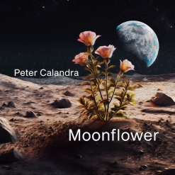 Cover image of the album Moonflower (single) by Peter Calandra