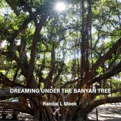 Cover image of the album Dreaming Under the Banyan Tree by Randal L Meek
