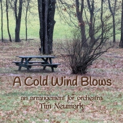 Cover image of the album A Cold Wind Blows single by Tim Neumark