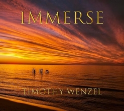 Cover image of the album Immerse by Jill Haley