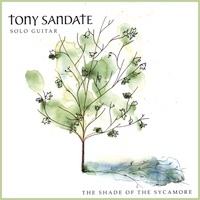 Cover image of the album The Shade of the Sycamore by Tony Sandate