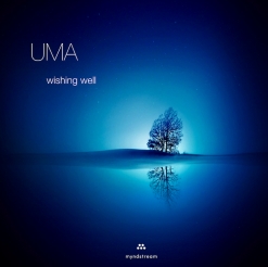 Cover image of the album Wishing Well by UMA