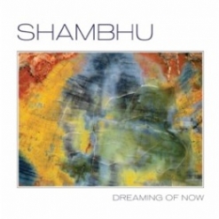Interview with Shambhu, image 12
