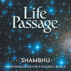 Interview with Shambhu, image 15