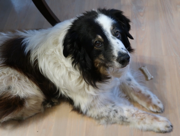 Pianote July 2025, image 1