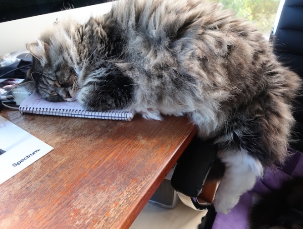 Pianote July 2025, image 2