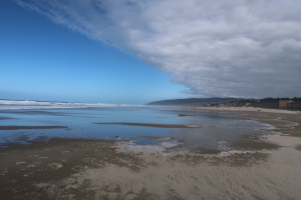 Pianote November 2025, image 3