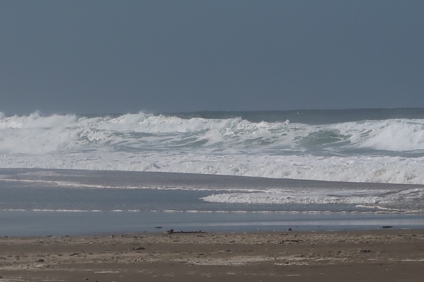 Pianote November 2025, image 4