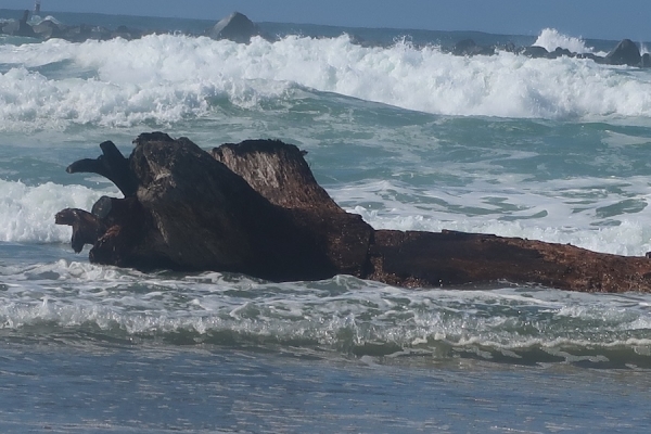 Pianote November 2025, image 7