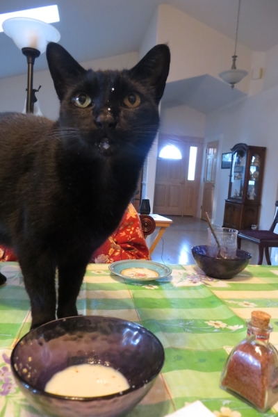 Pianote October 2025, image 3