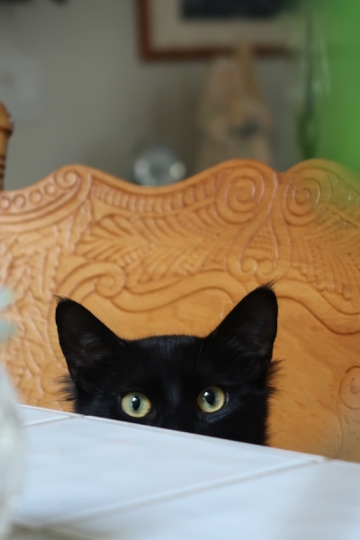 Pianote October 2025, image 5