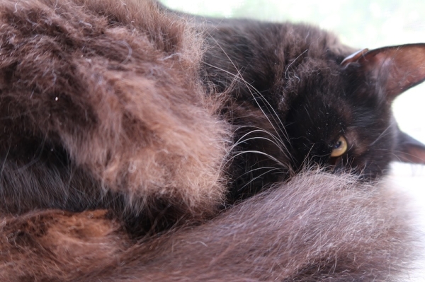 Pianote October 2025, image 7