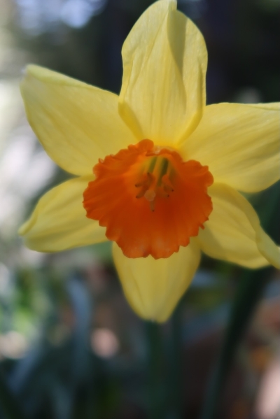 Pianote April 2026, image 5