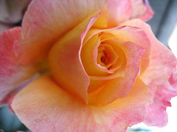 Pianote February 2026, image 4