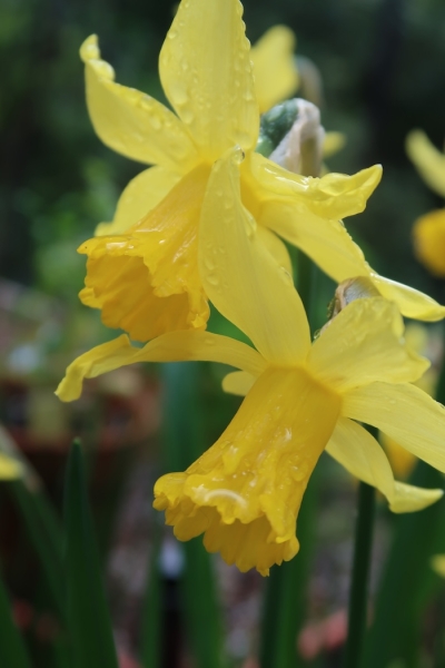 Pianote March 2026, image 3