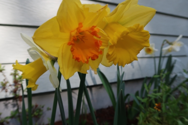 Pianote March 2026, image 5